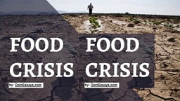 Food Crisis Argumentative Essay
